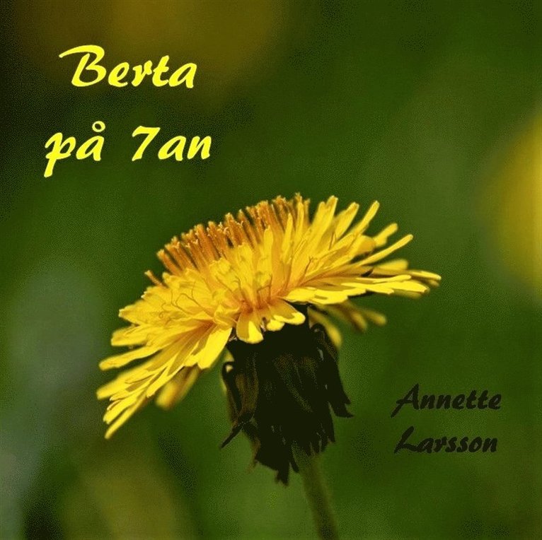 Annette Larsson - Berta på 7an, E-bok