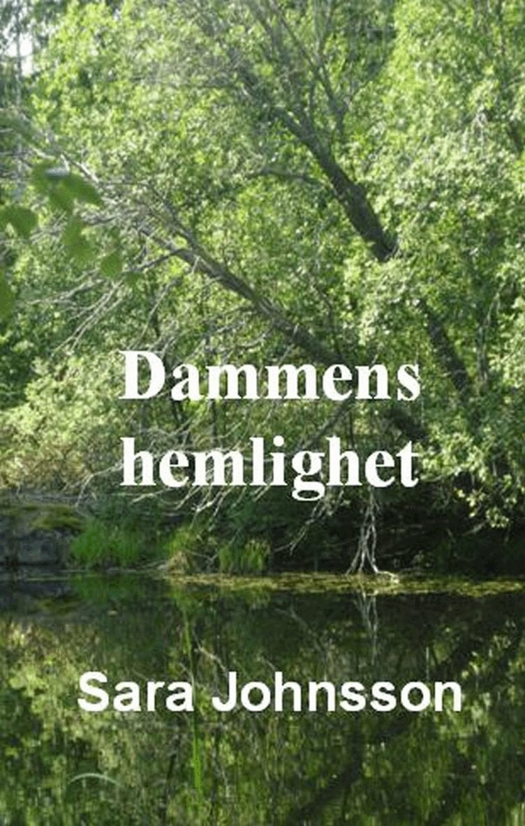 Sara Johnsson - Dammens hemlighet, E-bok