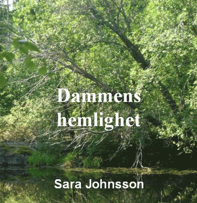 Sara Johnsson - Dammens hemlighet, Ljudbok