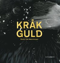 e-Bok Kråkguld  röster från Naturmorgon