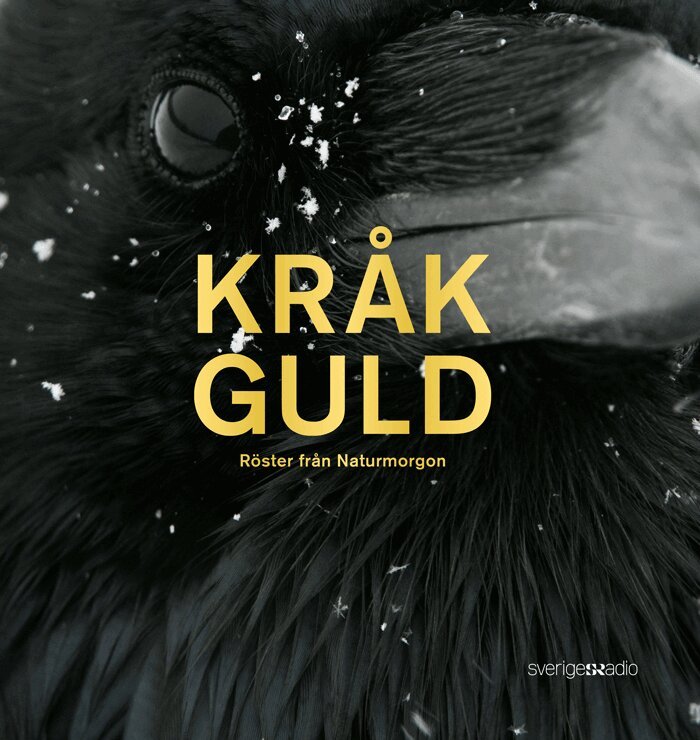 Lasse Willén, Jan Danielson, Lisa Henkow, Lena Näslund, Jenny Berntson Djurvall, Zinat Pirzadeh, Erik Kohlström, Helena Söderlundh, Thomas Öberg, Tomas Lindberg - Kråkguld : röster från Naturmorgon, Inbunden