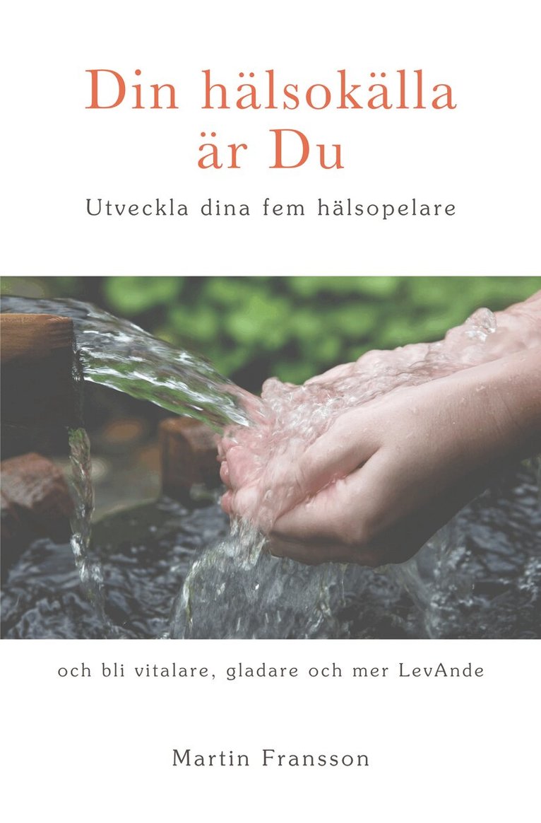 Martin Fransson - Din hälsokälla är Du -  Utveckla dina fem hälsopelare, Häftad