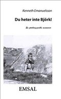 Du heter inte Bjrk! : en gteborgsgrabbs memoarer