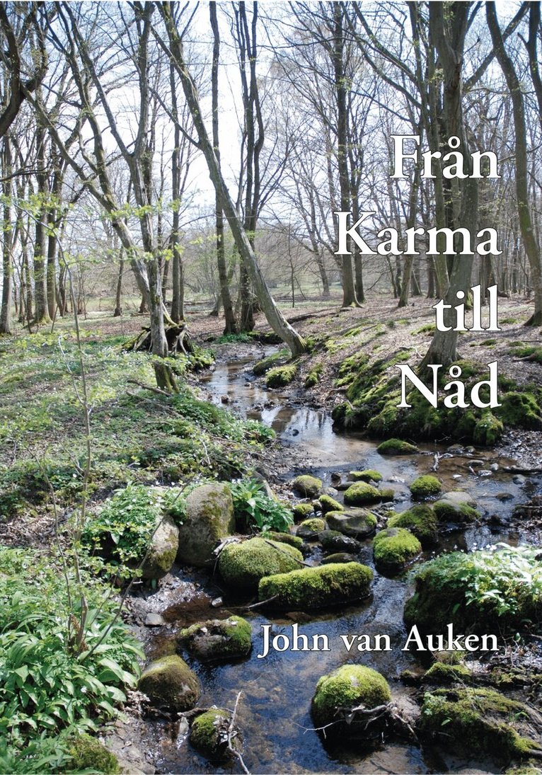 John Van Auken - Från karma till nåd : andliga frukters kraft, Häftad