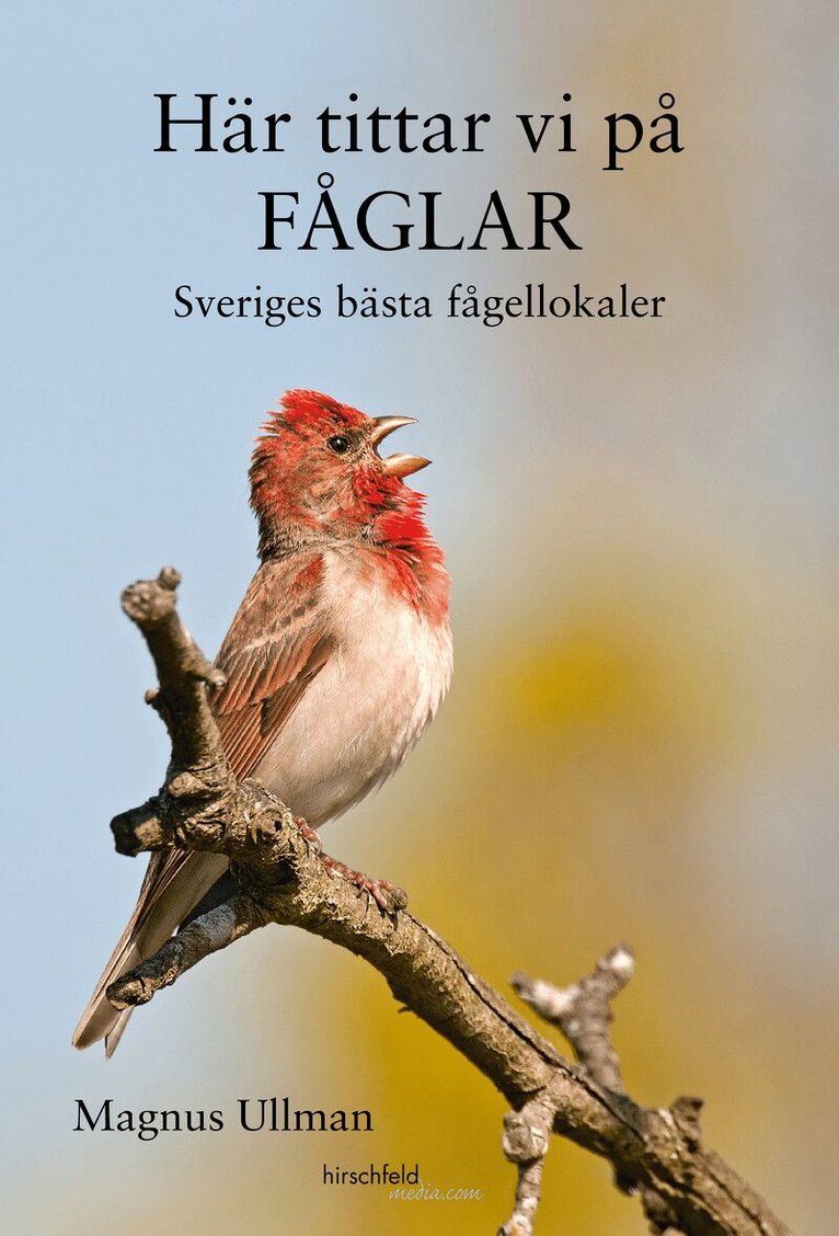 Magnus Ullman - Här tittar vi på fåglar : Sveriges bästa fågellokaler, Häftad
