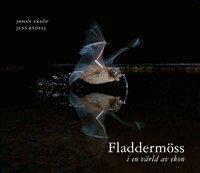 Johan Eklöf - Fladdermöss : i en värld av ekon, Inbunden