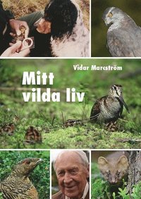 e-Bok Mitt vilda liv