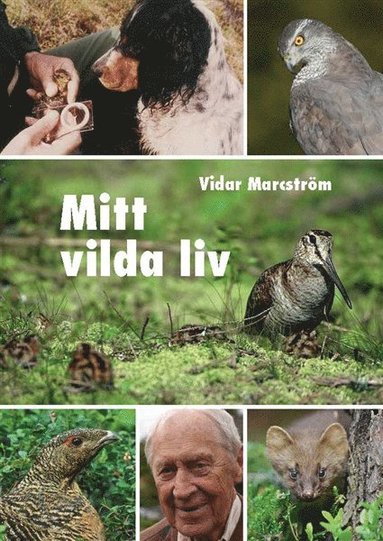 Vidar Marcström Mitt vilda liv