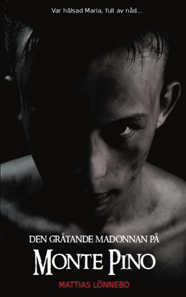Mattias Lönnebo - Den gråtande madonnan på Monte Pino, E-bok