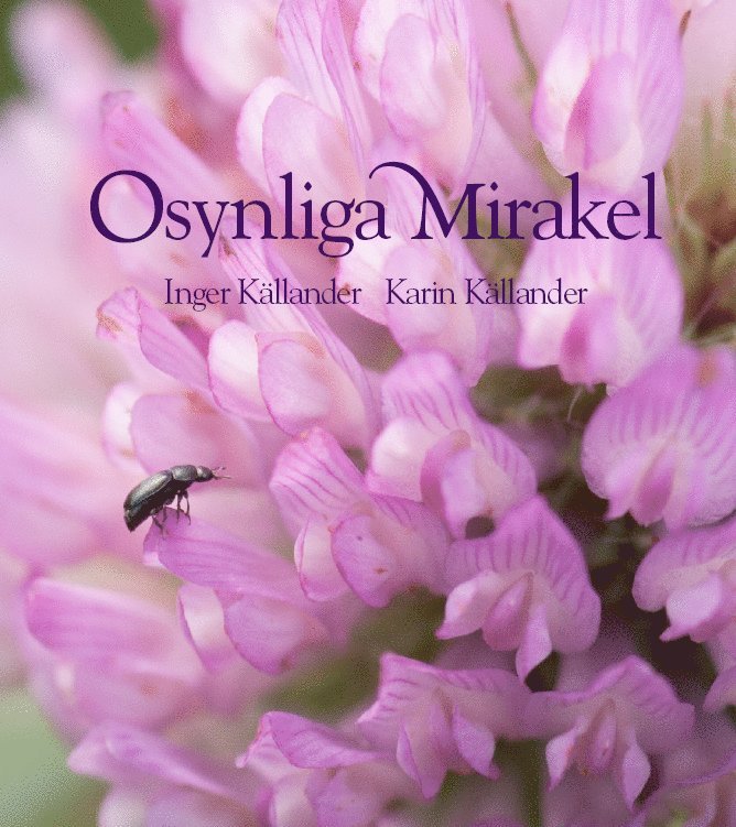 Inger Källander - Osynliga mirakel, Inbunden