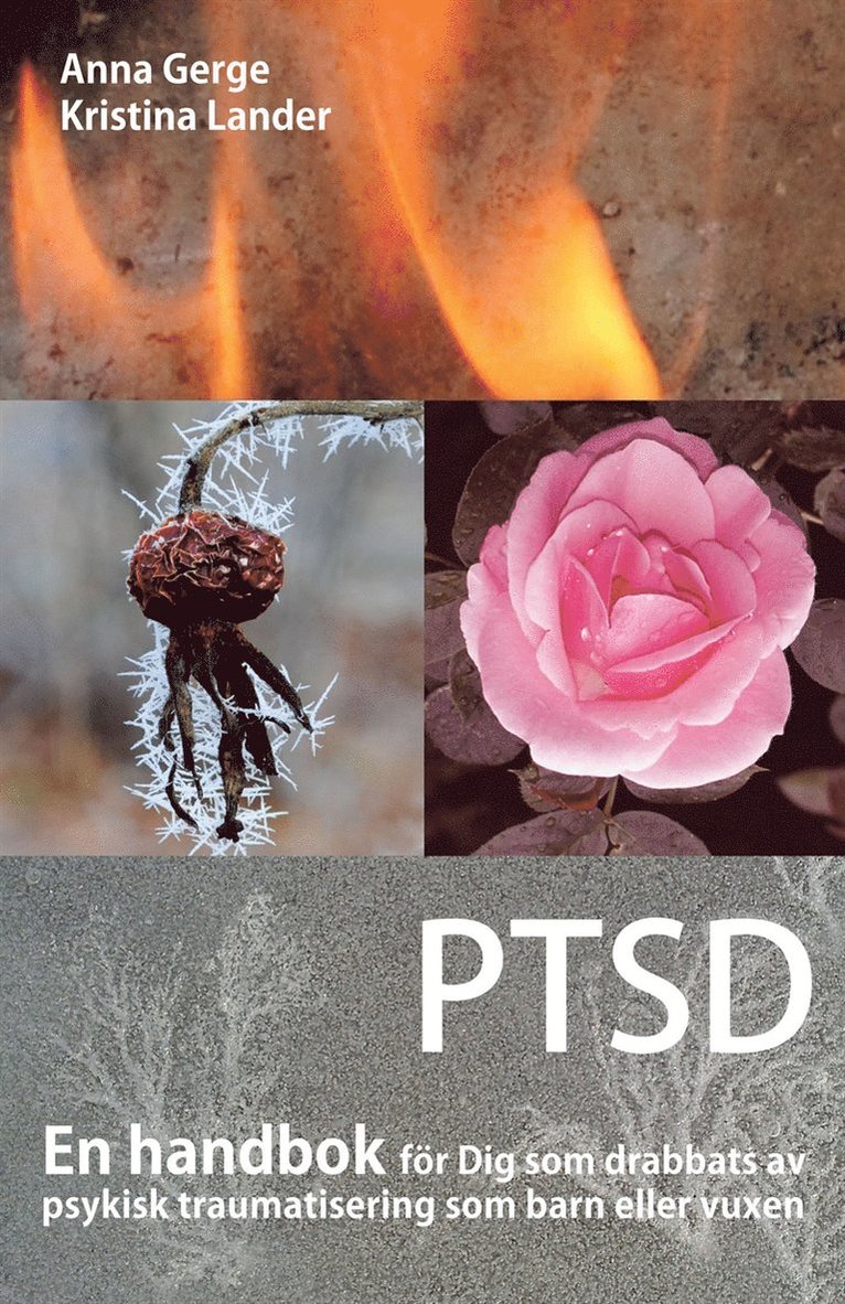 Anna Gerge, Kristina Lander - PTSD : En handbok för Dig som drabbats av psykisk traumatisering som barn eller vuxen, E-bok