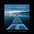Hundra nedslag i Mölndal