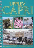 Upplev Capri