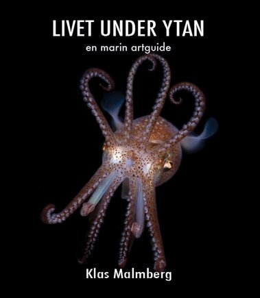 Klas Malmberg - Livet under ytan – en marin artguide, Häftad