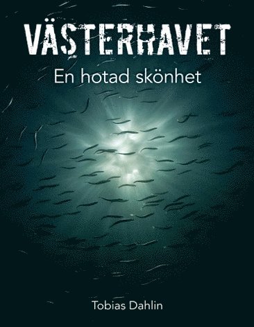 Tobias Dahlin - Västerhavet : en hotad skönhet, Inbunden