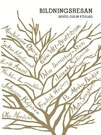 Pa Modou Badjie, Ebba Witt-Brattström, Nicklas Lundblad, Jasenko Selimović, Dilsa Demirbag-Sten, Erik Amnå, Fredrik Högberg, Madeleine Opira, Mats Svegfors, Sofia Nerbrand, Ola Nordebo, Johanna Koljonen - Bildningsresan, Häftad