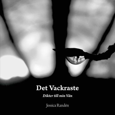 Jessica Randén Det vackraste : dikter till min vän