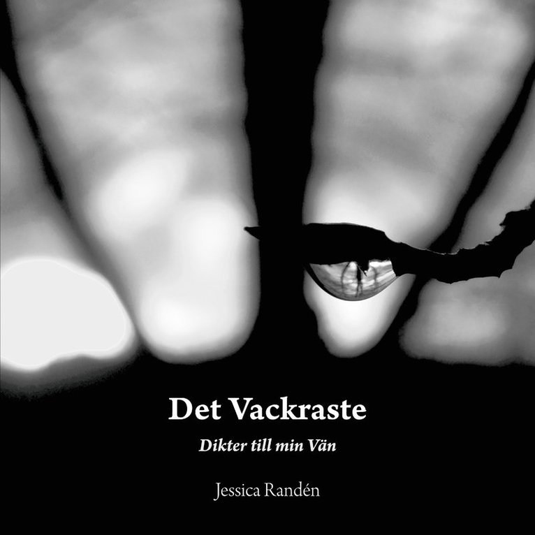 Jessica Randén - Det vackraste : dikter till min vän, Inbunden