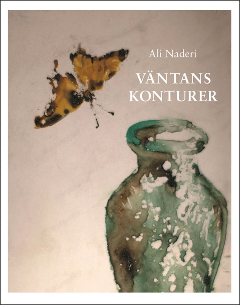 Ali Naderi - Väntans konturer, E-bok
