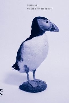 Joakim Norling - Where did this begin? : Testbild!, Häftad