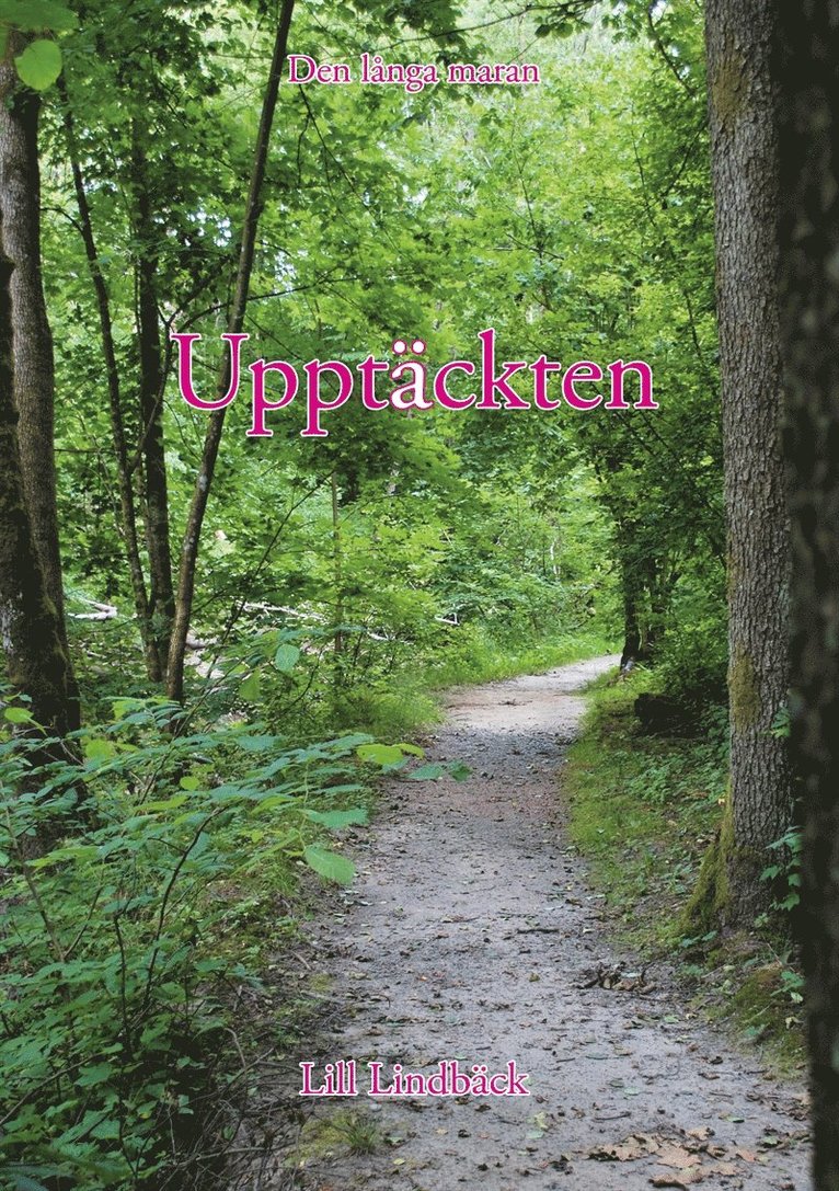 Lill Lindbäck - Upptäckten, E-bok