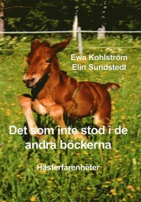 Det som inte stod i de andra bckerna : hsterfarenheter