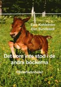 Det som inte stod i de andra b�ckerna : h�sterfarenheter