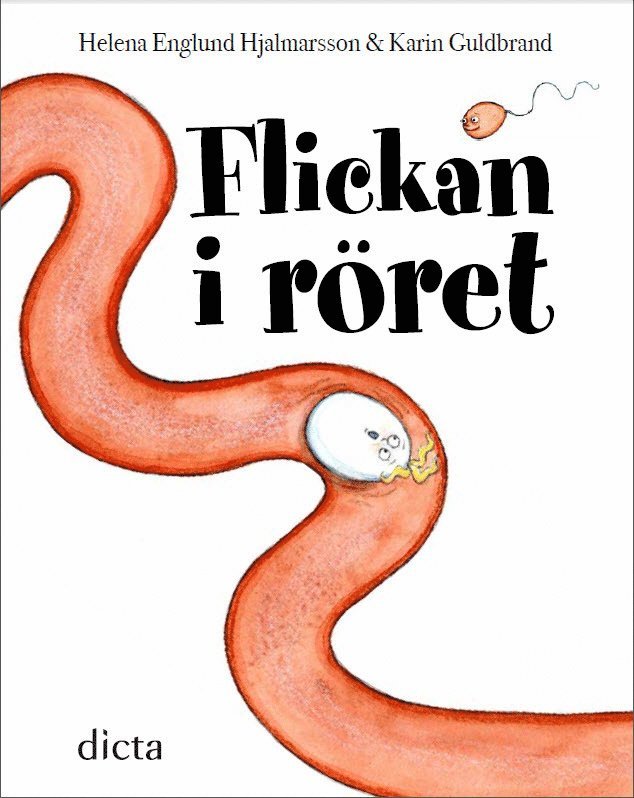 Helena Englund Hjalmarsson, Karin Guldbrand - Flickan i röret, Inbunden