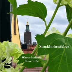 Wanya Indiana Bloomville - Stockholmsfeber, E-bok