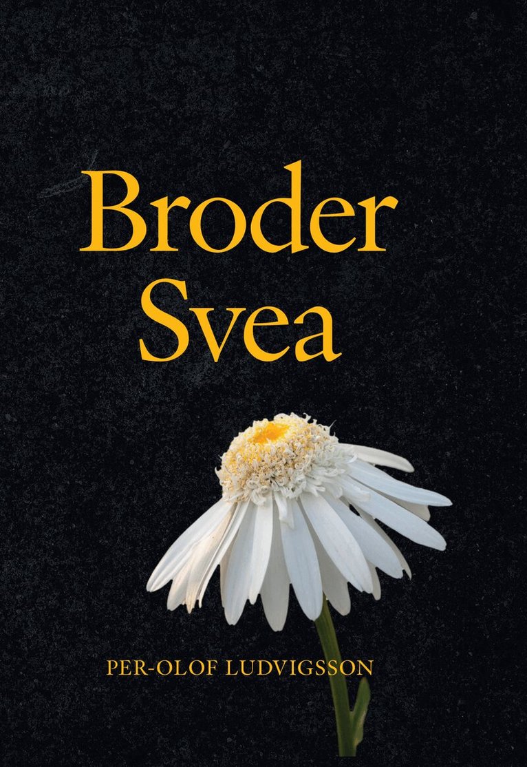 Broder Svea, Pocket
