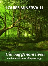 Din vg genom liven - medvetandeutvecklingens stege