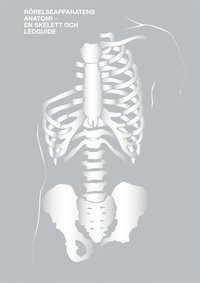 Rörelseapparatens Anatomi - En skelett- och ledguide