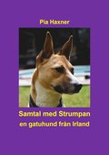 Samtal med Strumpan : en gatuhund fr�n Irland