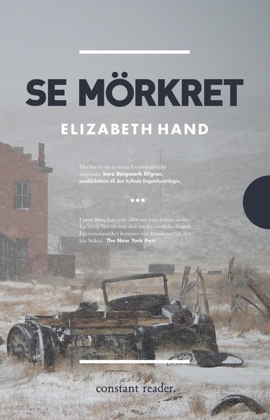 Elizabeth Hand Se mörkret