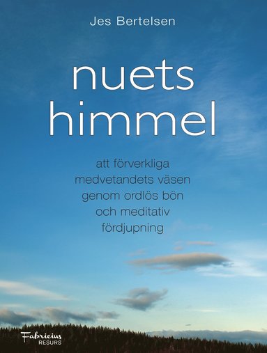 Nuets himmel : att förverkliga medvetandets väsen genom ordlös bön och meditativ fördjupning