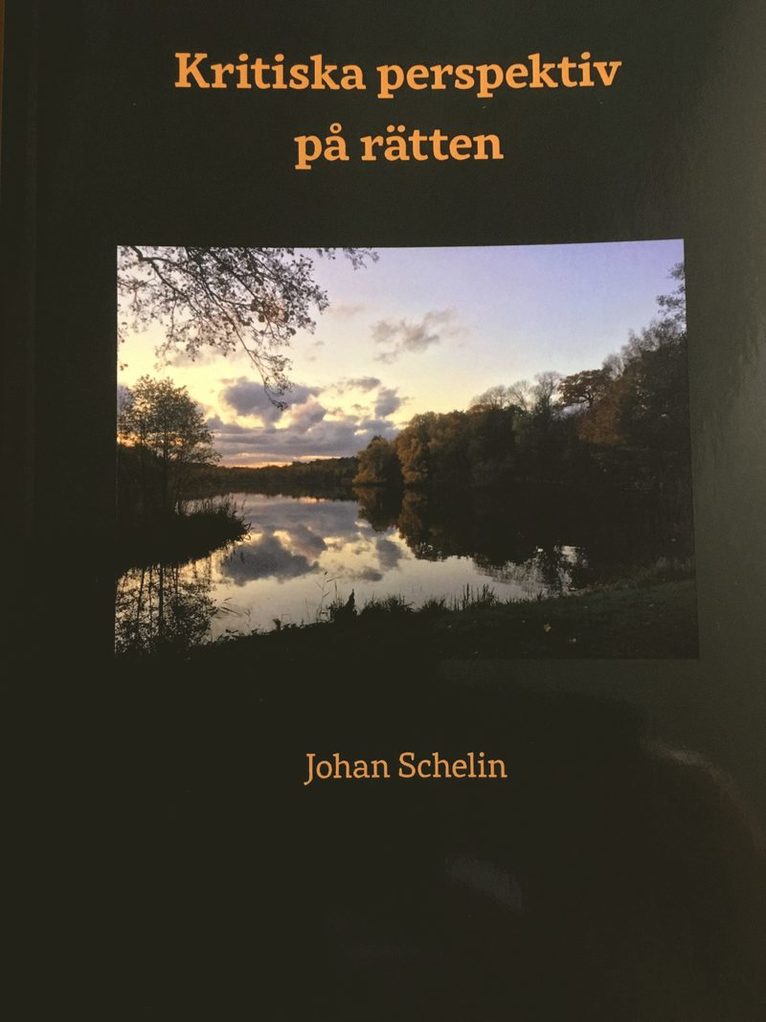 Johan Schelin - Kritiska perspektiv på rätten, E-bok