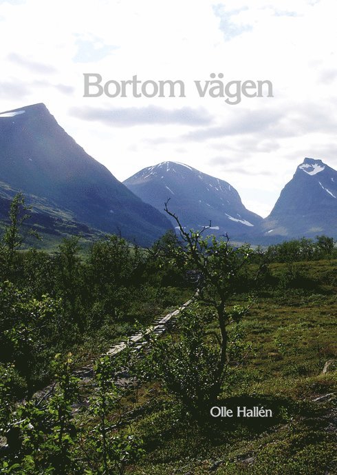 Olle Hallén - Bortom vägen, Inbunden