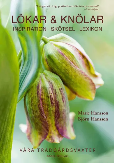 Marie Hansson, Björn Hansson - Lökar & knölar : inspiration, skötsel, lexikon, Inbunden