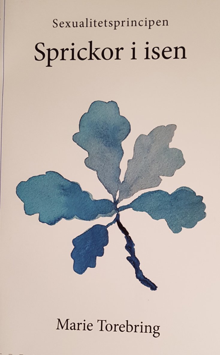 Marie Torebring - Sprickor i isen, Häftad
