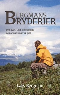 Bergmans Bryderier : Om livet, Gud, universum och annat smtt & gott