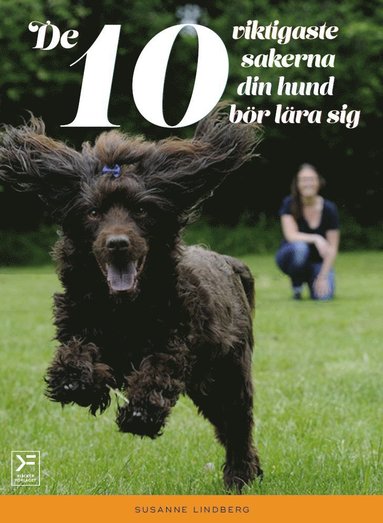 De 10 viktigaste sakerna din hund bör lära sig