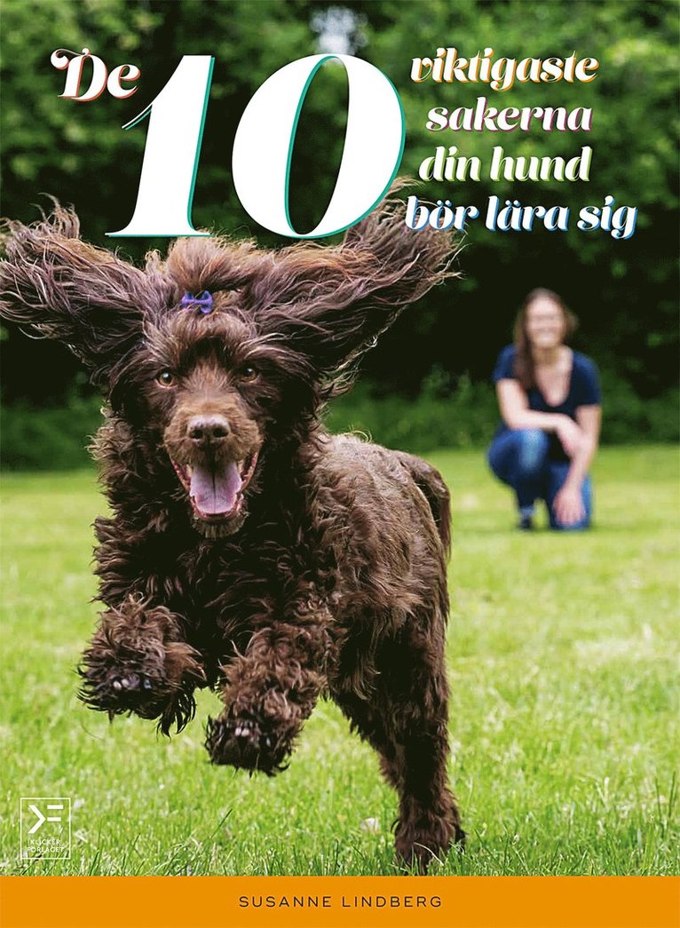 Susanne Lindberg - De 10 viktigaste sakerna din hund bör lära sig, E-bok