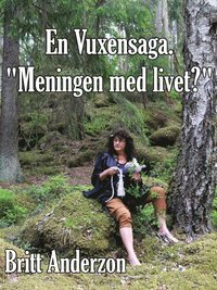 e-Bok En Vuxensaga. 