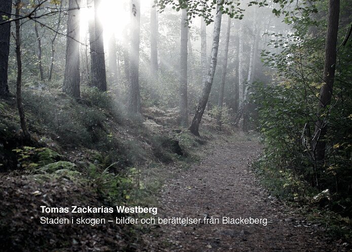Tomas Zackarias Westberg - Staden i skogen : bilder och berättelser från Blackeberg, Inbunden