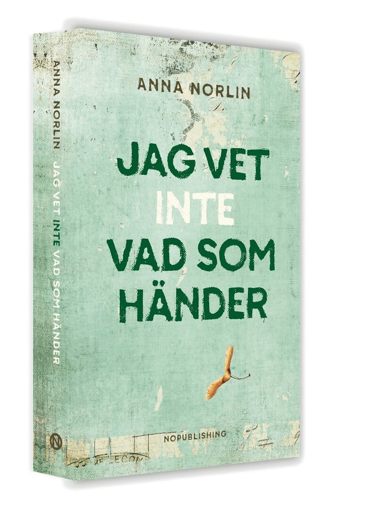 Anna Norlin - Jag vet inte vad som händer, Pocket