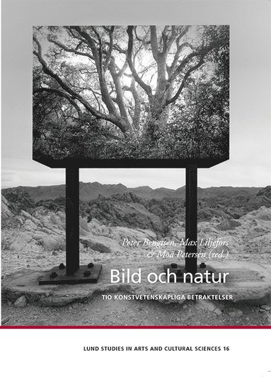 Peter Bengtsen, Max Liljefors Bild och natur