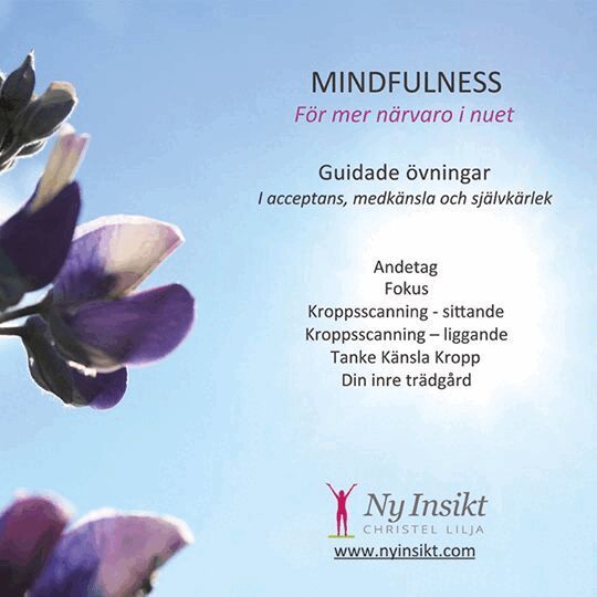 Christel Lilja - Mindfulness : för mer närvaro i nuet, Ljudbok. Tillgänglighet: Lägg i varukorg