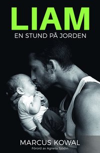 e-Bok Liam  en stund på jorden