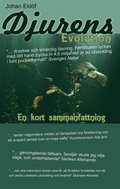 Djurens Evolution - En kort sammanfattning