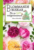 Blommande buskar fr en liten trdgrdsmstare